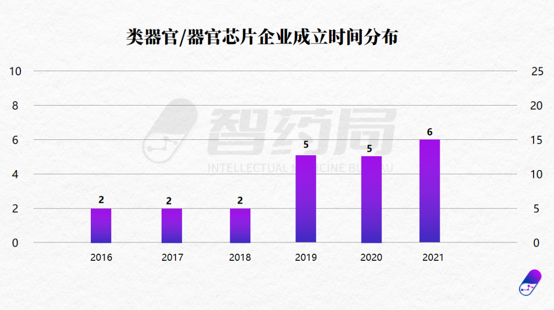 走进中国 22 家类器官和器官芯片初创