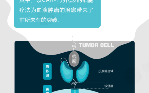 干货！CAR-T细胞疗法「 图鉴 」