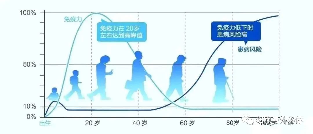 常听见的有关干细胞的【九大谣言】