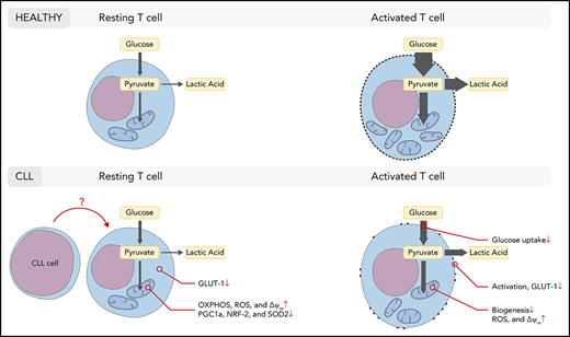 关于CAR-NK细胞疗法，从六个维度分析