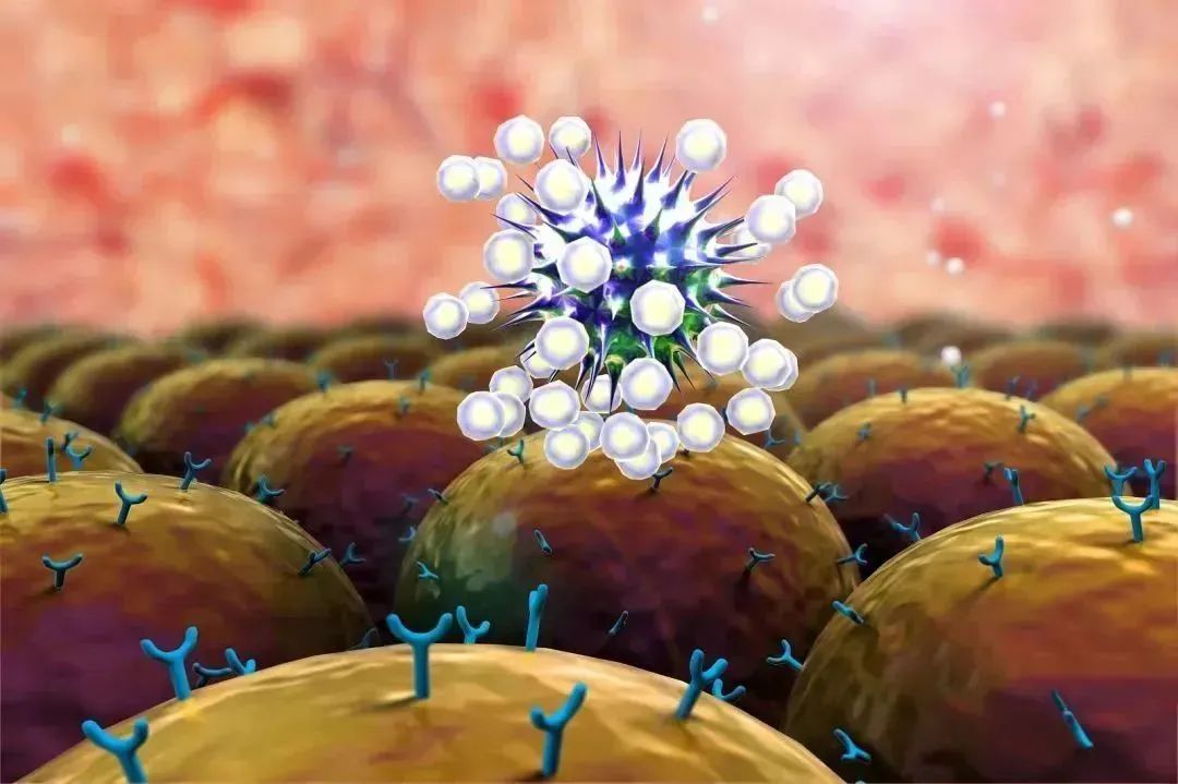 NK细胞——抵御病毒，防癌抗衰，改善亚健康的首选
