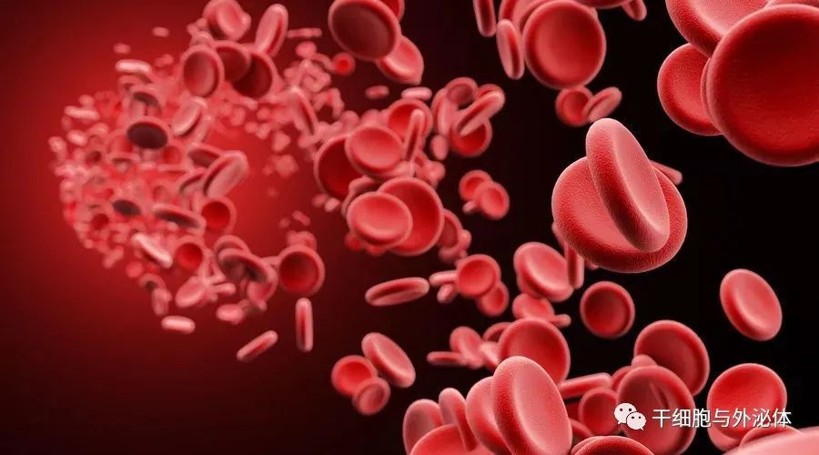 解放军总医院 | 间充质干细胞联合治疗27例再生障碍贫血全部植入成功