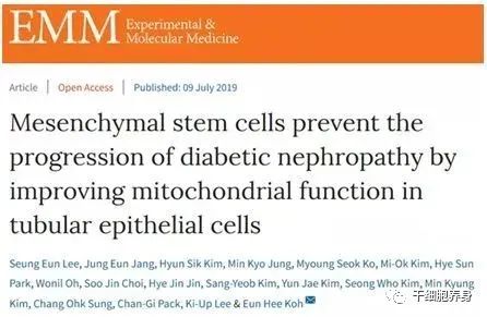 我国1.2亿慢性肾脏病患者，干细胞是否能有效干预肾衰竭？