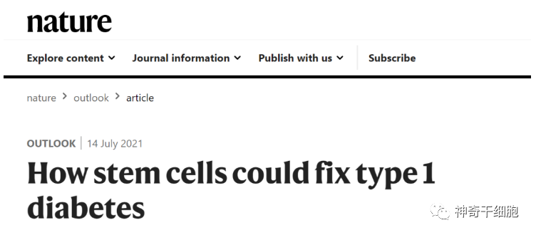 干细胞干预修复糖尿病的10问10答