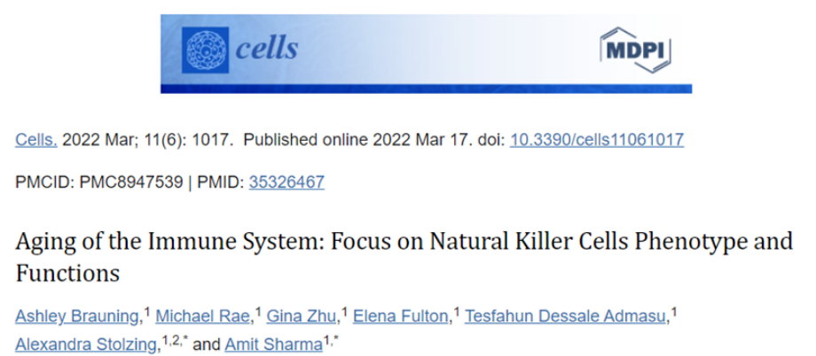 NK细胞清除体内致病风险，延缓衰老助力长寿