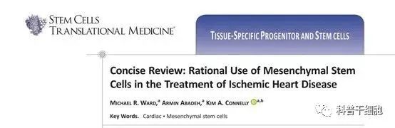 干细胞治疗人类健康“头号杀手”——冠心病，前景广阔