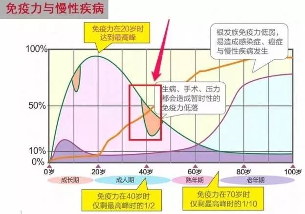 免疫细胞与人体健康的关系！