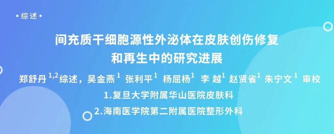 综述 | 间充质干细胞源性外泌体在皮肤创伤修复和再生中的研究进展