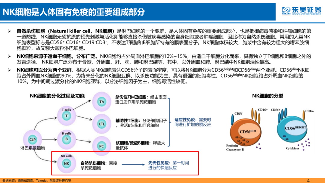 NK细胞疗法行业深度报告