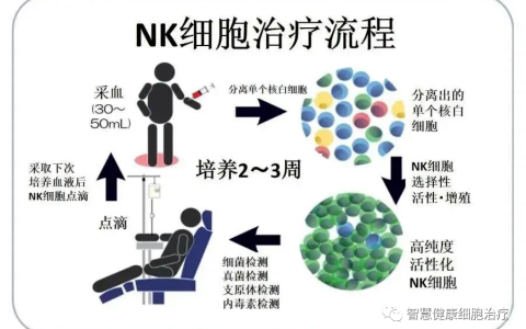 回输自体NK细胞后，她的身体机能和生活质量显著提高！