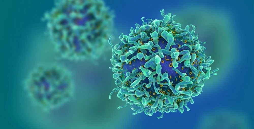 《自然 · 免疫》：T细胞衰老的十大特征