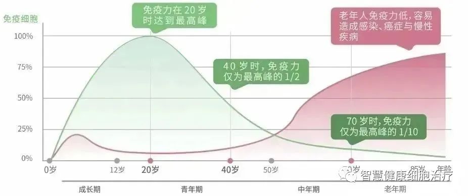 回输自体NK细胞后，她的身体机能和生活质量显著提高！