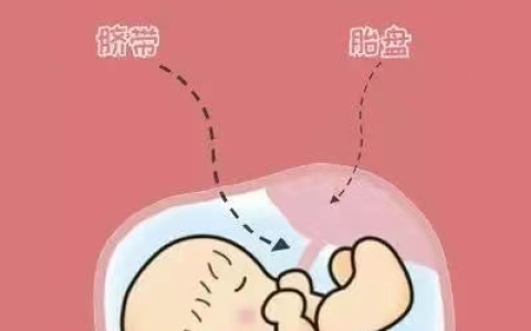 脐带、胎盘来源的干细胞为什么不用配型？看完就都明白了