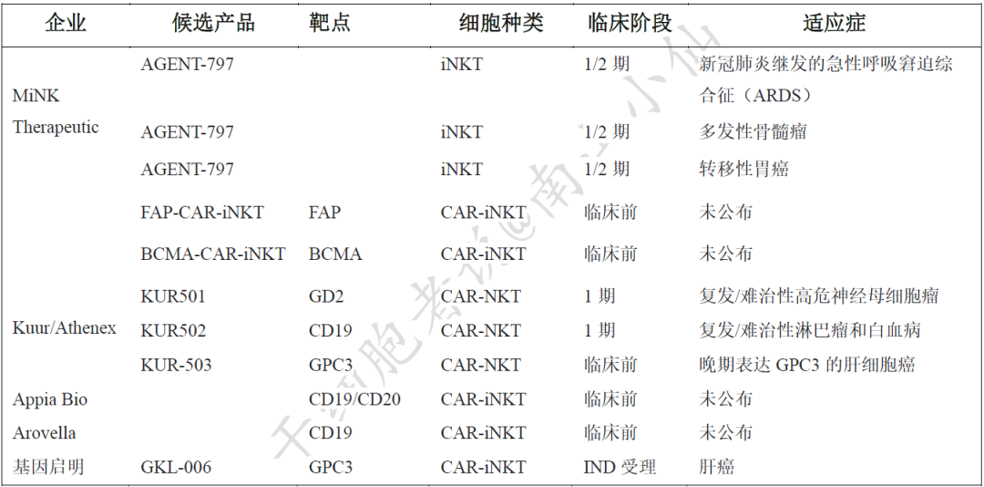 关于NKT细胞，你想知道的在这里