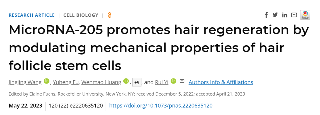 软化毛囊干细胞能促毛发生长