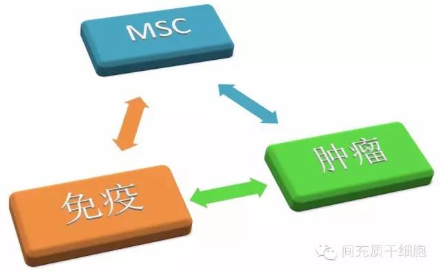 关于耸人听闻的干细胞致瘤，需要交流的几个问题