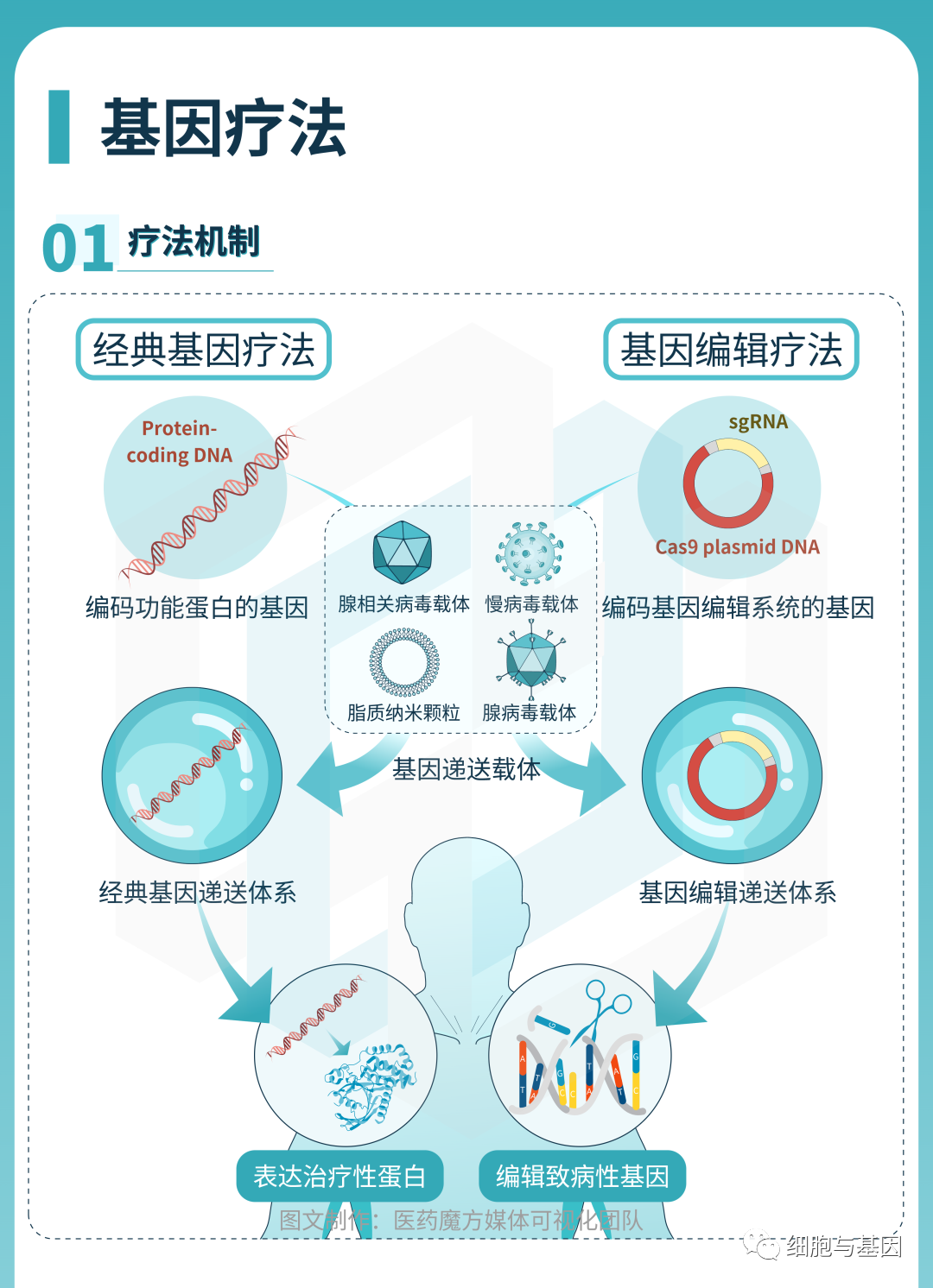 CGT研发全景图解