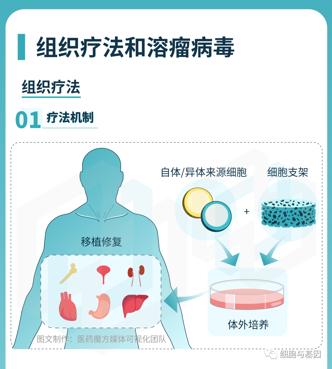 CGT研发全景图解