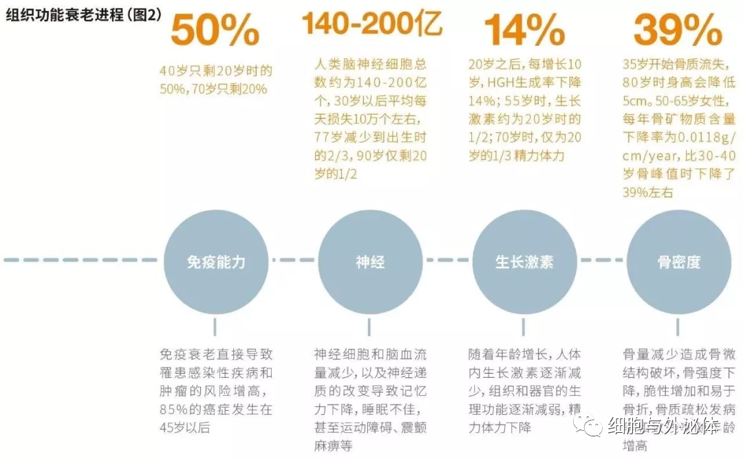 《Nature》重磅发现：细胞的寿命决定人体的寿命！疾病是细胞在喊救命，是衰老的开始