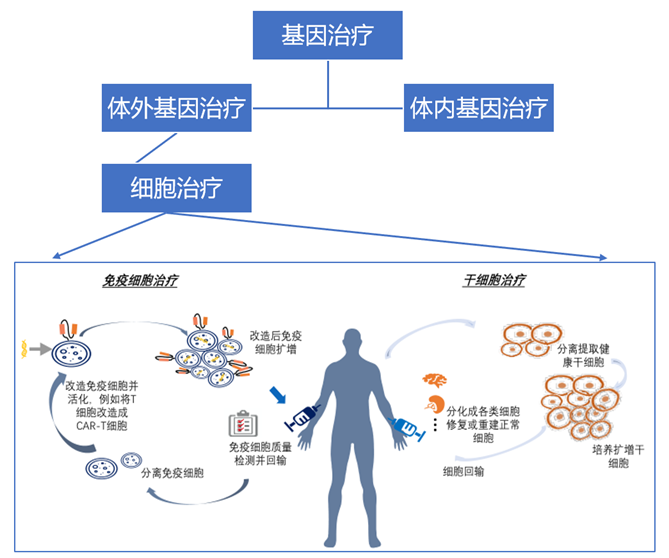 CGT上游赛道到底值不值得投？——CGT上游工具行业深度报告