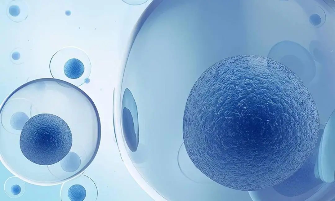 从理论到临床，干细胞的安全性究竟如何？