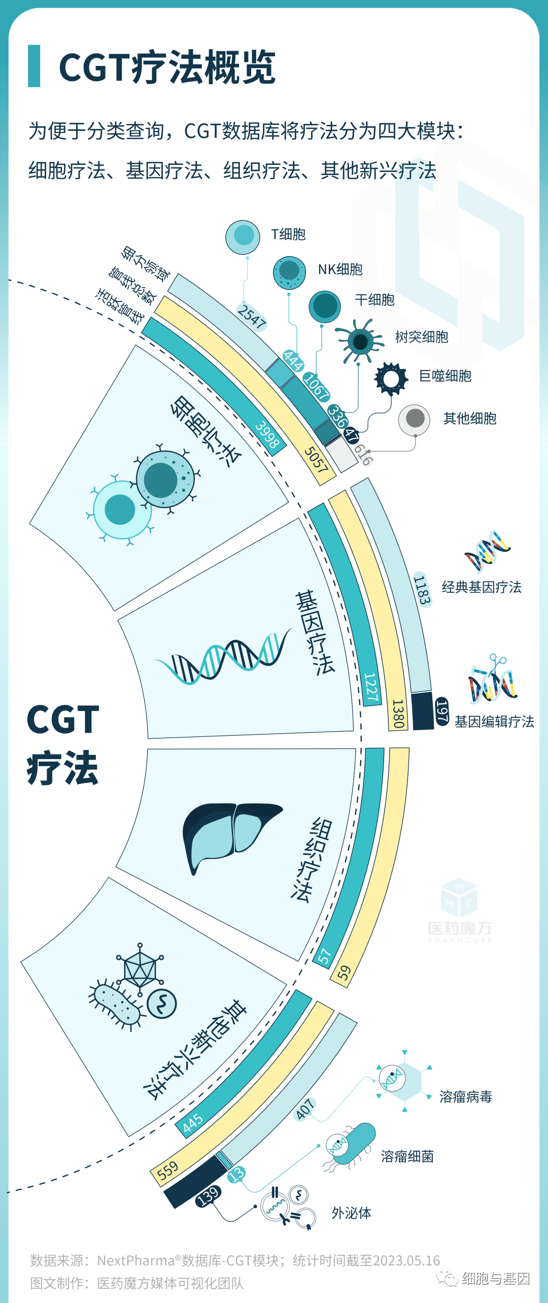 CGT研发全景图解