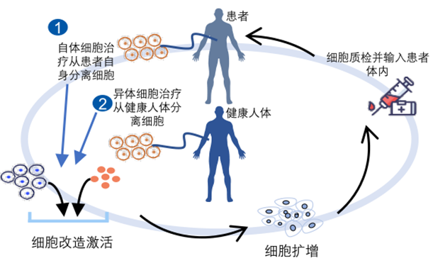 CGT上游赛道到底值不值得投？——CGT上游工具行业深度报告