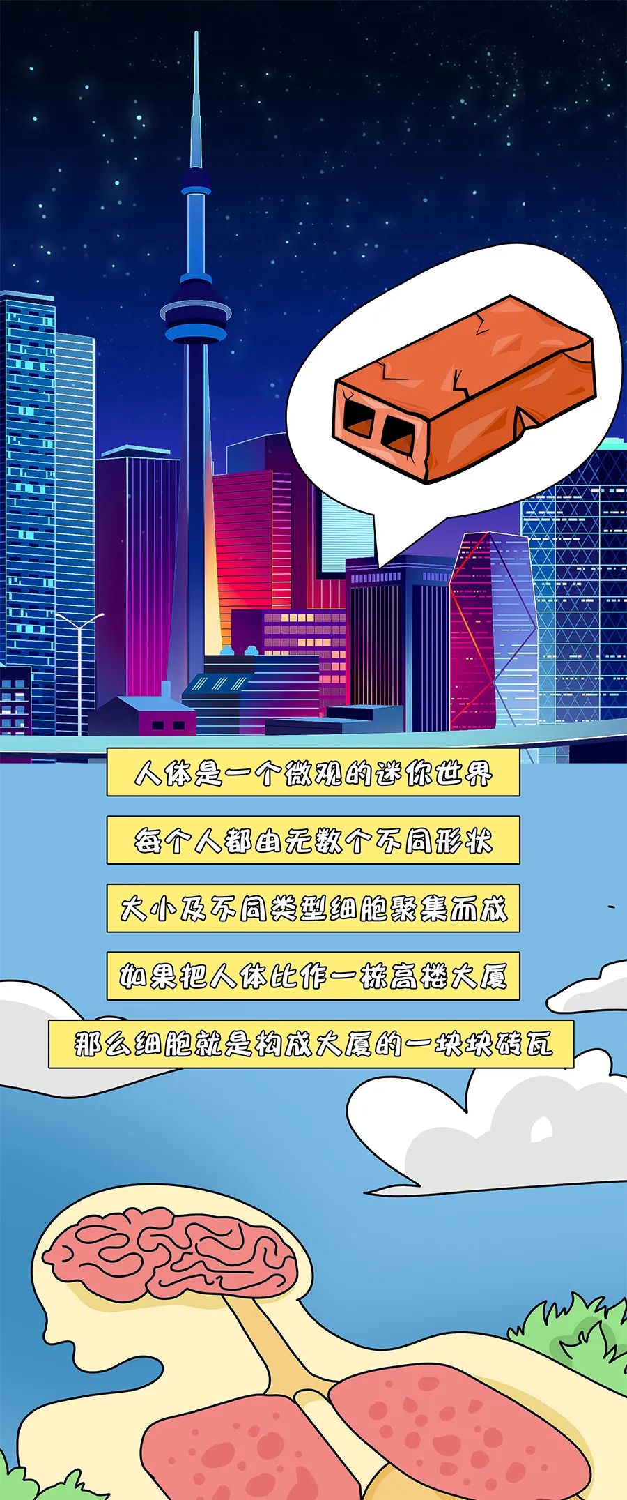 漫画科普— 24小时无休的免疫细胞怎么保护我们的身体？