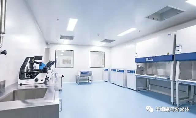 山东首个GMP规范细胞与基因治疗CDMO平台建成启用