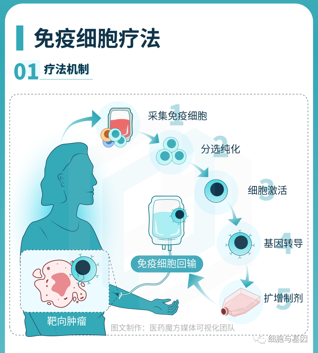 CGT研发全景图解