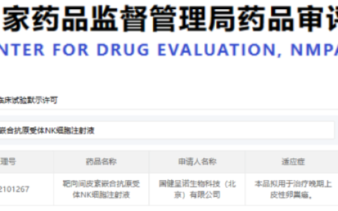 NK细胞：中国药监局的最新动态从基础研究到临床默许，我们应该如何理解？
