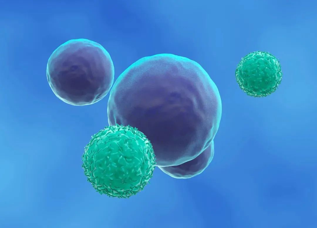 免疫细胞科普：CIK细胞和NK细胞有什么区别？
