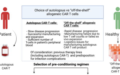 带你了解异基因CAR-T细胞治疗