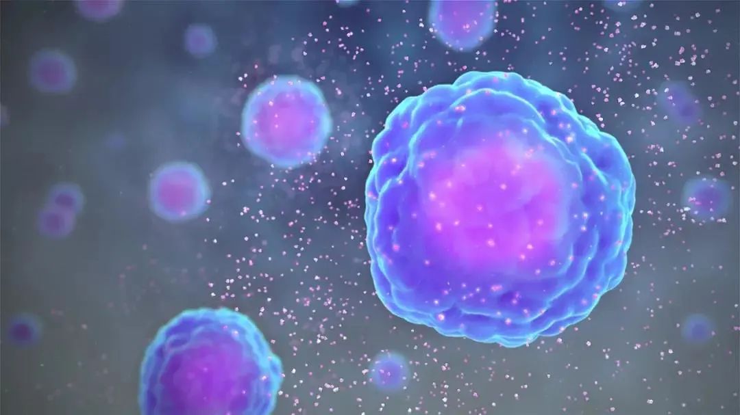 干细胞是如何帮助人体提高免疫力的？