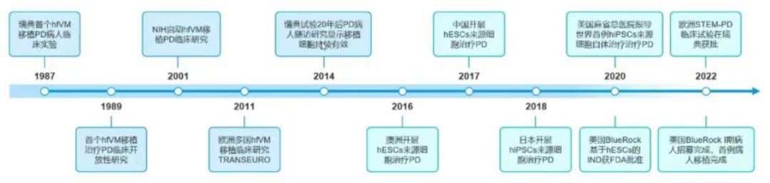 《自然》新研究揭示：干细胞与免疫细胞同移植，为帕金森病治疗带来新突破！