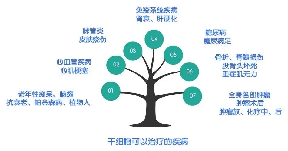 脑梗后遗症，让干细胞来为你分忧解难