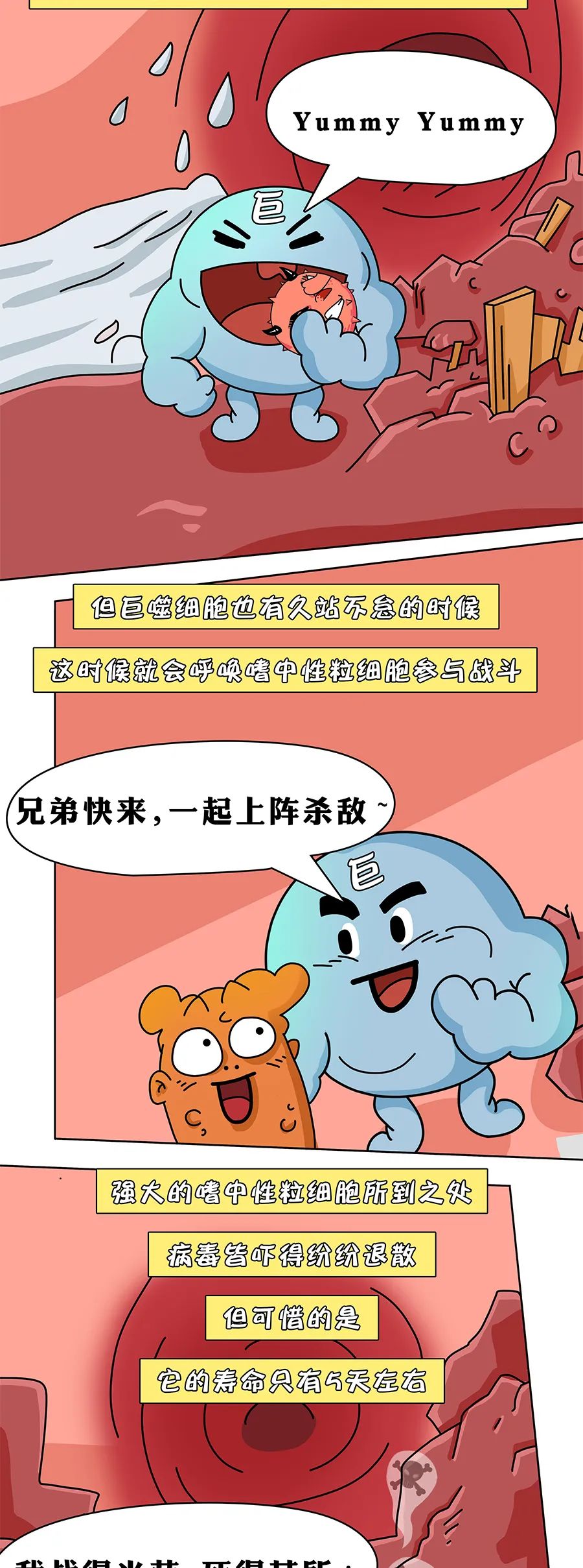 漫画科普— 24小时无休的免疫细胞怎么保护我们的身体？