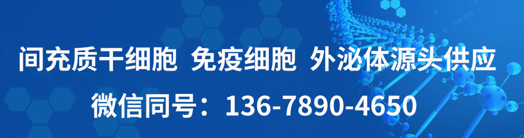 传统疗法治疗脑梗不甚理想，最新技术“干细胞移植”重建脑组织