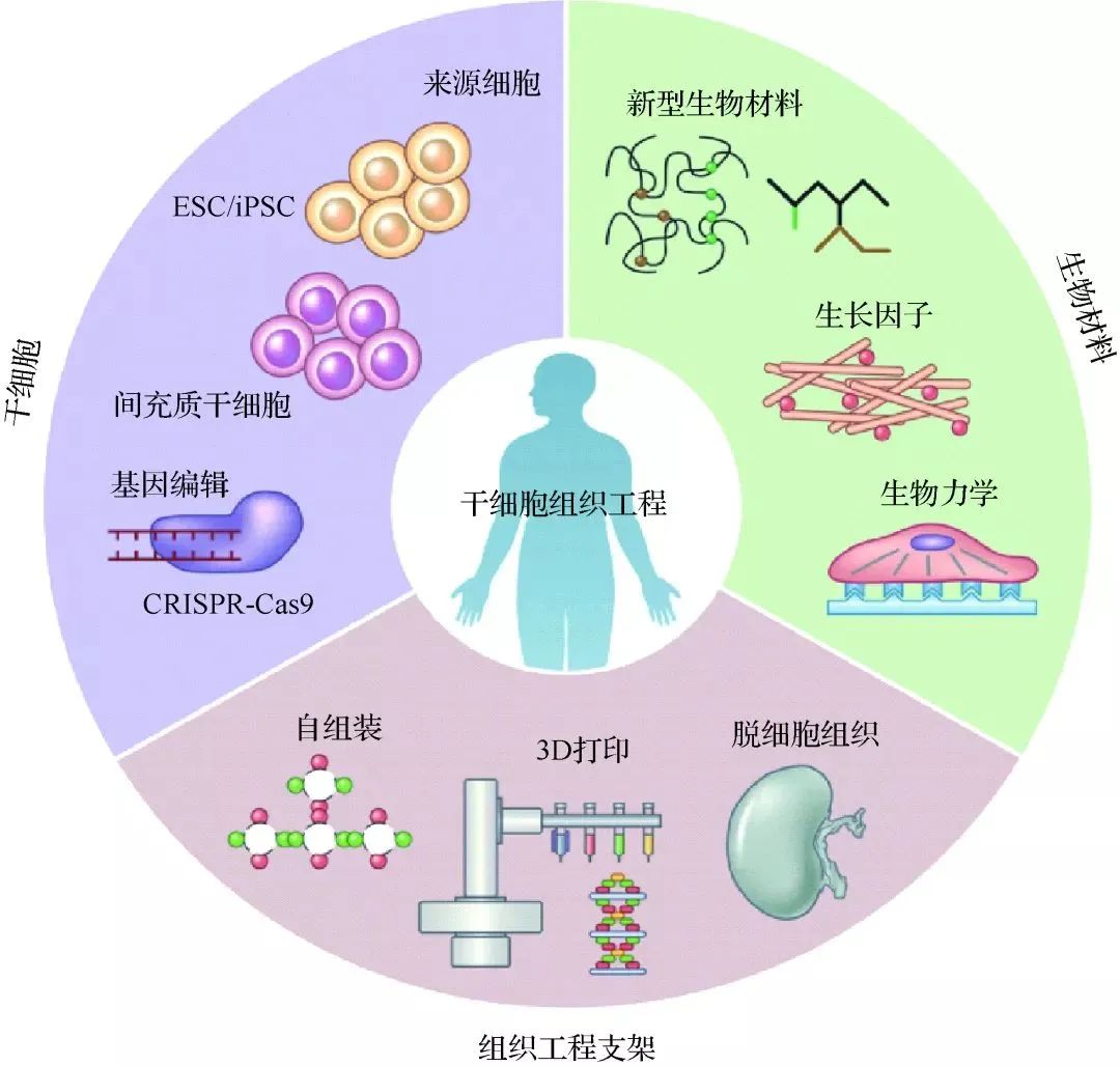 脑梗后遗症，让干细胞来为你分忧解难