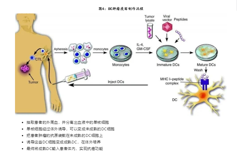 科普 | 4种肿瘤细胞调理技术，你了解多少？