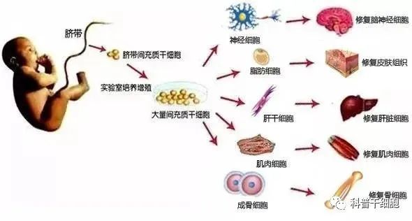 衰老的真相原来是这样！抓好3个关键时间段！