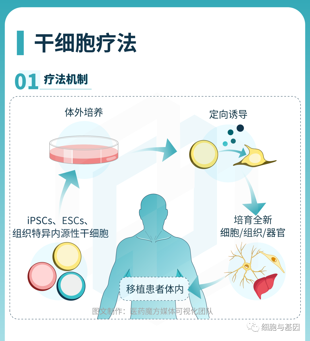 CGT研发全景图解