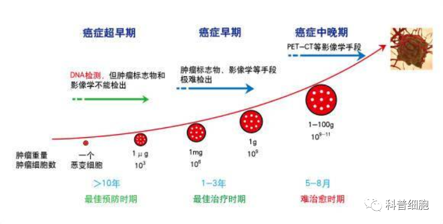 术后及时补充免疫细胞，预防转移，提高生存率