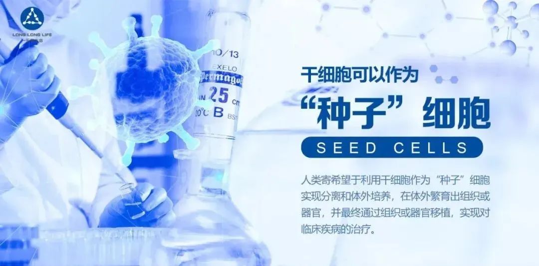 干细胞抗衰老40问，强烈建议收藏！
