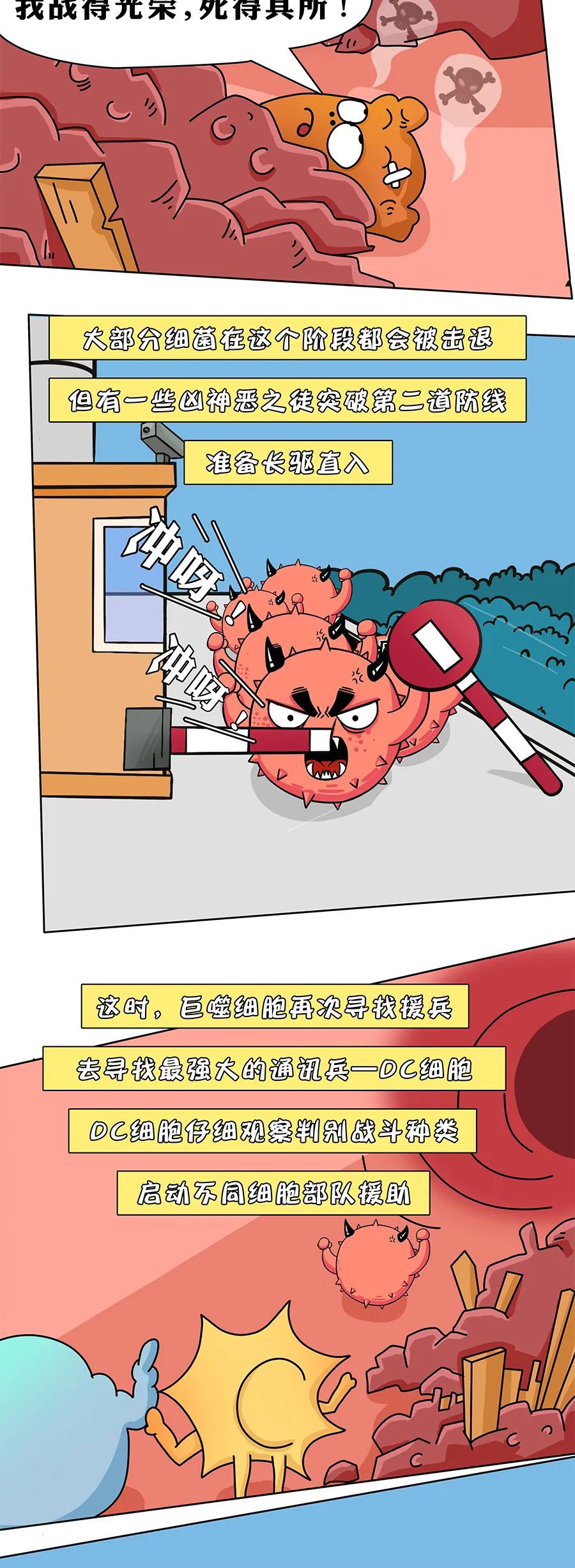 漫画科普— 24小时无休的免疫细胞怎么保护我们的身体？