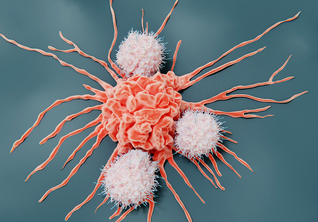科普 | 4种肿瘤细胞调理技术，你了解多少？