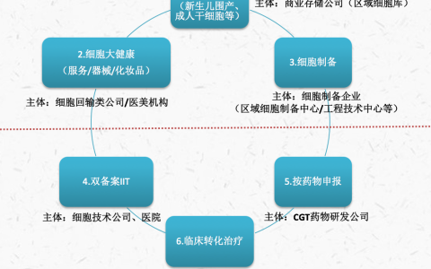 解读|我国细胞行业当前业态、司法监管实践及未来监管模式研判报告丨德恒研究