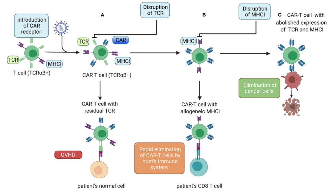 带你了解异基因CAR-T细胞治疗