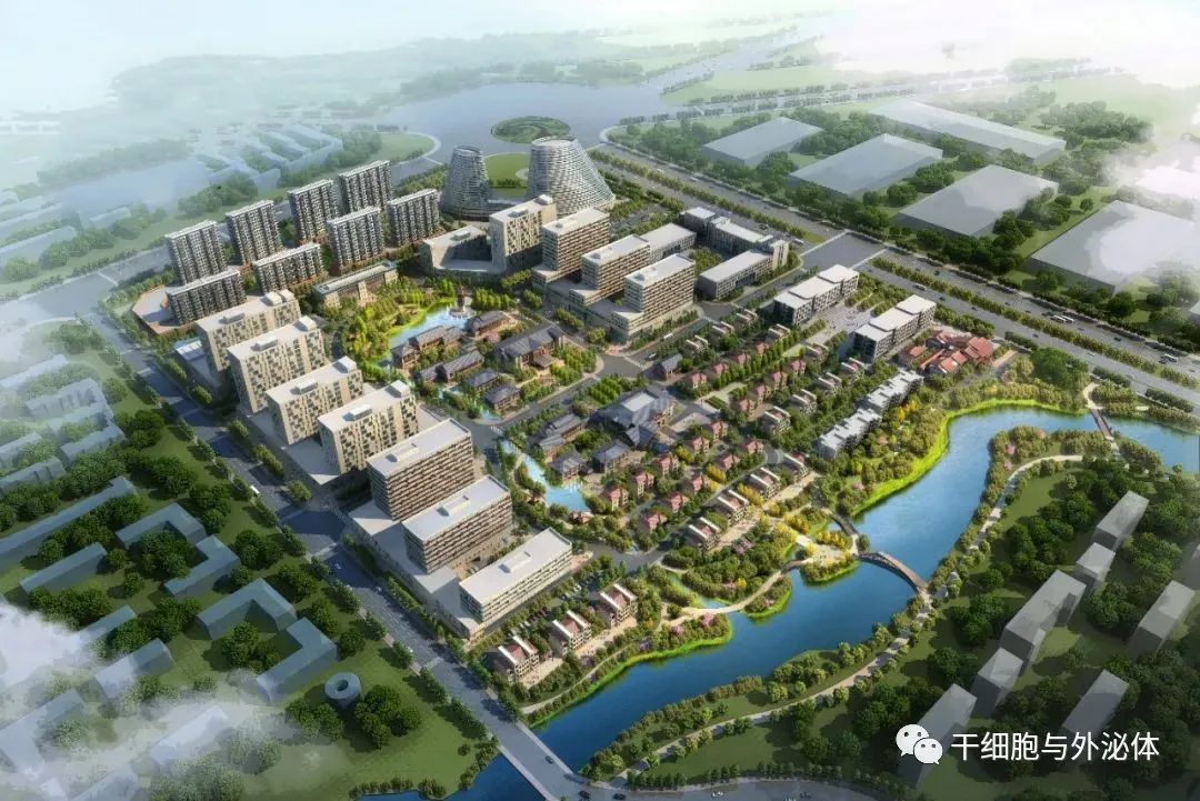 山东加快细胞产业布局，潍坊青岛等细胞产业园开园开建