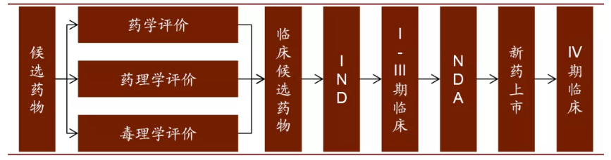 新药研发到上市全流程（附投资思路）